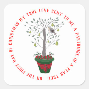 Sticker Carré 12 jours de perdrix de Noël dans un poirier