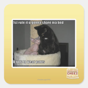 Sticker Carré 1ère règle si tu vas partager ma lit