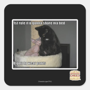 Sticker Carré 1ère règle si tu vas partager ma lit