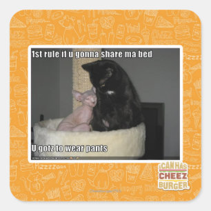 Sticker Carré 1ère règle si tu vas partager ma lit