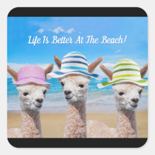 Sticker Carré 3 Alpacas La Vie Est Meilleure À La Plage ! Messag