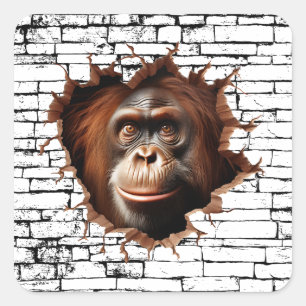 Sticker Carré 3D Orangutan Wall Break Art - Safari réaliste