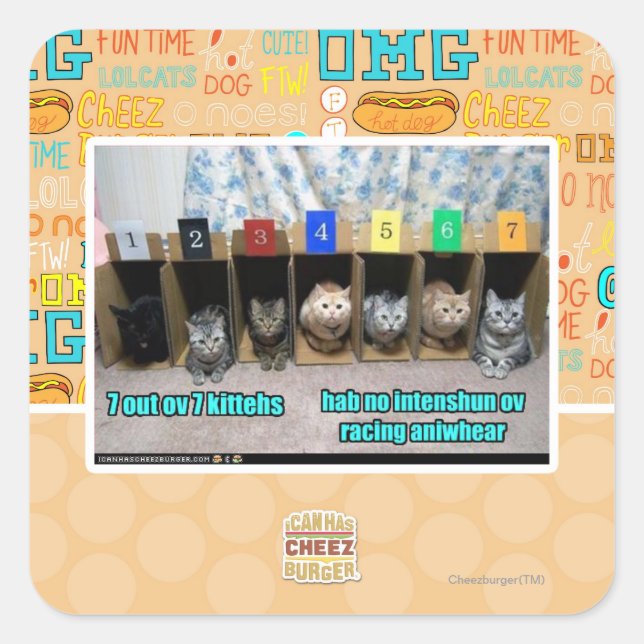 Sticker Carré 7 out ov 7 kittehs (Devant)