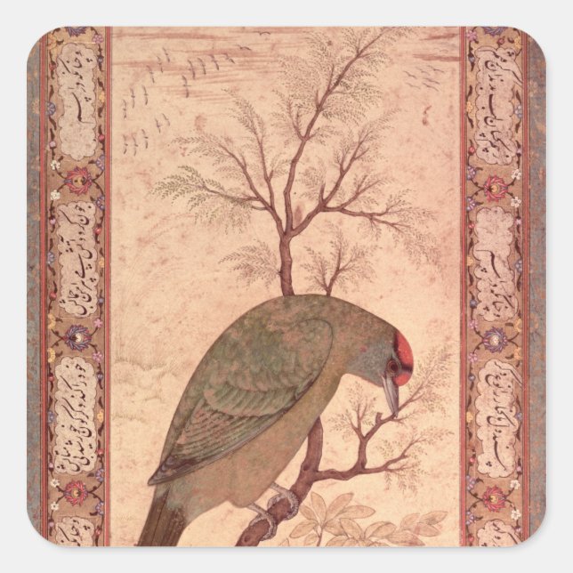 Sticker Carré A Barbet Jahangir Period, Mughal, 1615 (Devant)