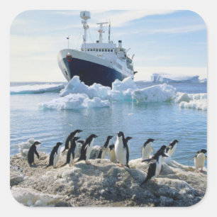 Sticker Carré A Group of Penguins Standing On An Icy Beach