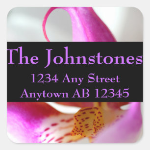 Sticker Carré À l'intérieur d'une Orchidée blanche Mariage Adres