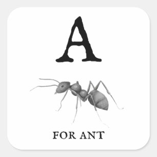 Sticker Carré "A" pour Ant