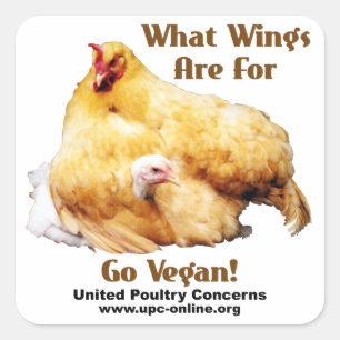 Sticker Carré À quoi servent les ailes - Go Vegan