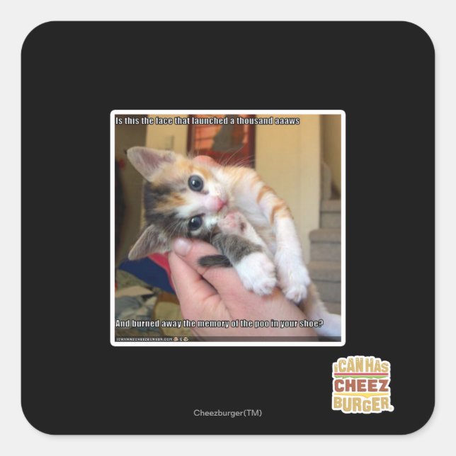 Sticker Carré Aaws (Devant)