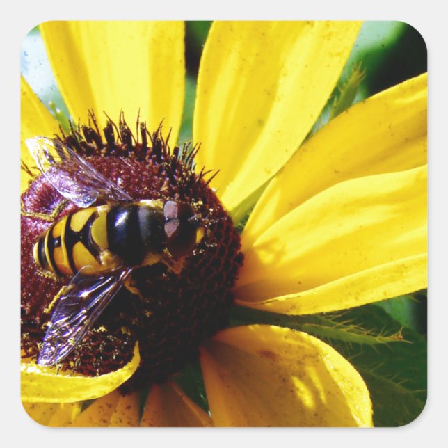 Sticker Carré Abeille et Fleur Jaune (Devant)