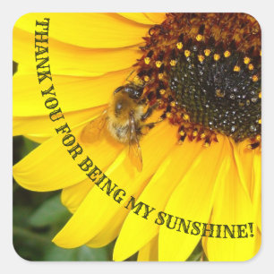 Sticker Carré Abeille sur tournesol Tu es mon soleil