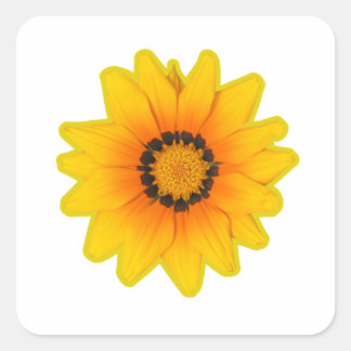 Sticker Carré Adesivo flor Amarela Gazânia