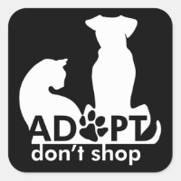 Adoptez Ne pas Acheter Chien Chat Blanc