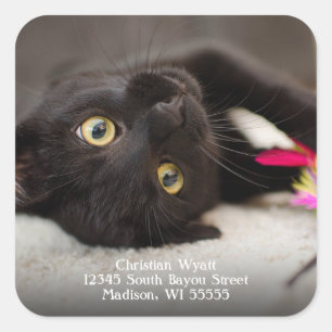 Sticker Carré Adresse de retour du chat noir mignon