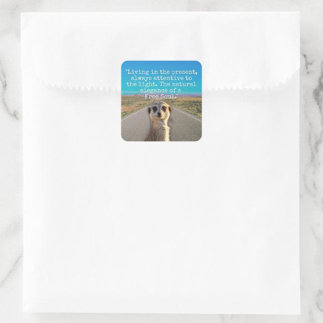 Sticker Carré Adventurous Meerkat Living (Sac)