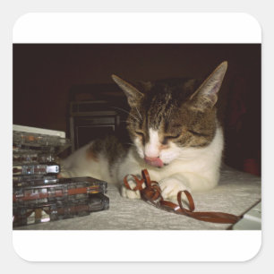 Sticker Carré Affamé pour des cassettes