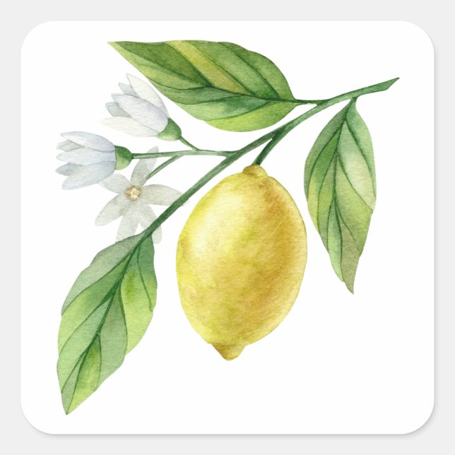 Sticker Carré Affiche à motif de citron à l'aquarelle (Devant)