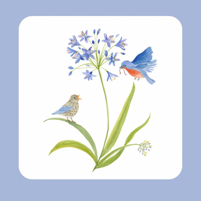 Sticker Carré African Lily with Bluebird Mother and Baby (Créateur téléchargé)