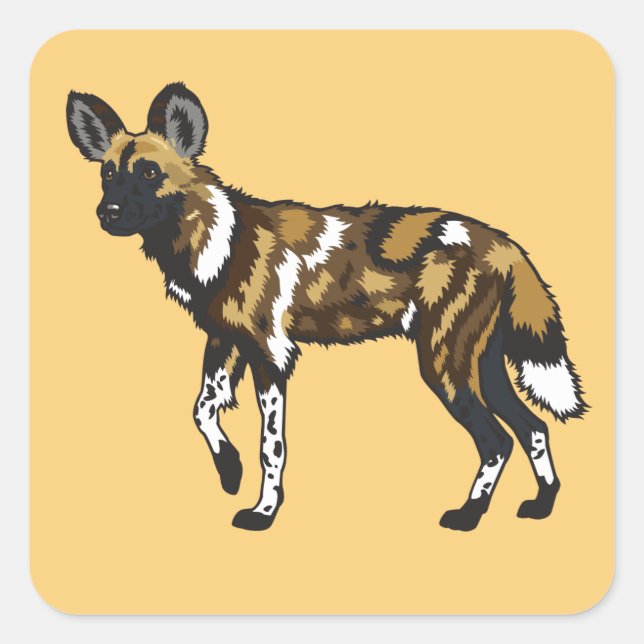 Sticker Carré African wild dog Wild Africa (Devant)