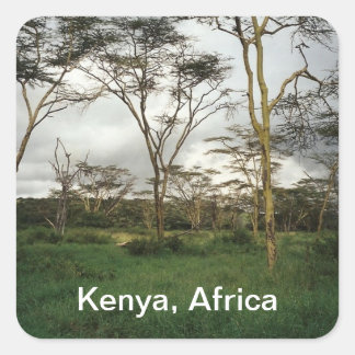 Sticker Carré Afrique Kenya terre sauvage