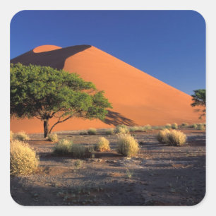 Sticker Carré Afrique, Namibie, Parc Namib-Naukluff, Sossosvlei