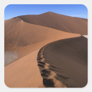 Sticker Carré Afrique, Namibie, Parc national de Namib-Naukluft,