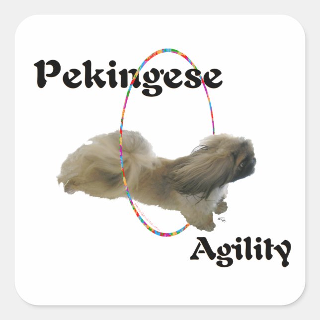 Sticker Carré Agilité du Pékinois (Devant)