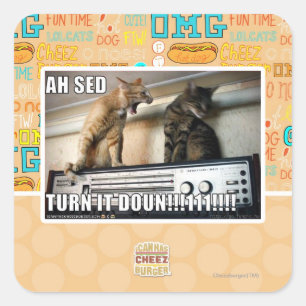 Sticker Carré Ah tour de Sed il vers le bas ! !