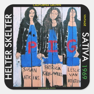 STICKER CARRÉ AIDE SKELTER SATIVA