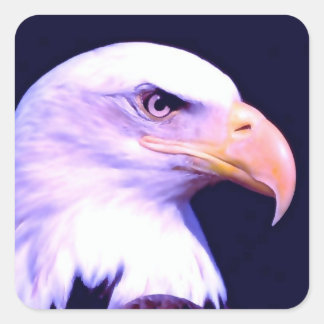 Sticker Carré Aigle de Bald