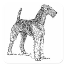 Airedale Terrier Dessin de chien élégant