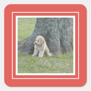 Sticker Carré Ajouter un modèle de photo personnalisé Orange Rou