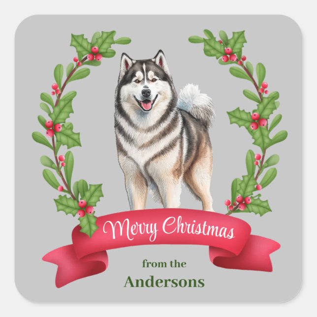 Sticker Carré Alaskien Malamute Chien Holly Banner Noël (Devant)