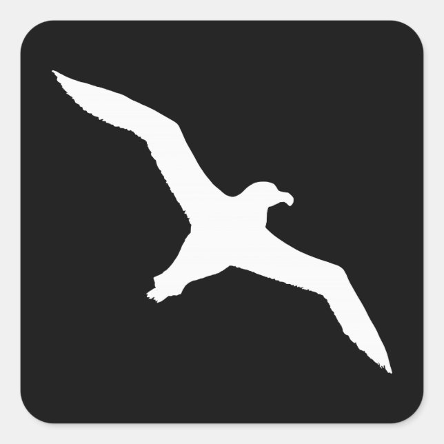 Sticker Carré Albatros blanc (Devant)