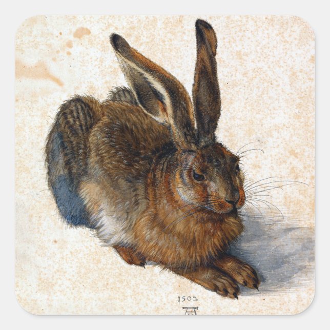 Sticker Carré Albrecht Dürer Young Hare (Devant)