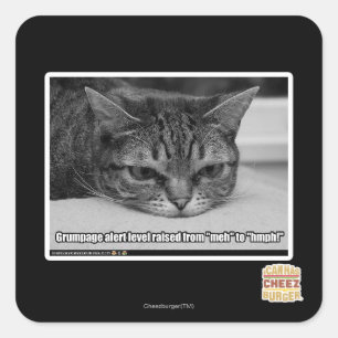 Sticker Carré Alerte de grumpage