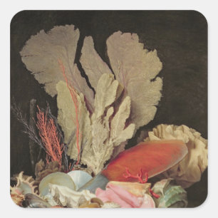 Sticker Carré Algue, Lithophytes et coquillages