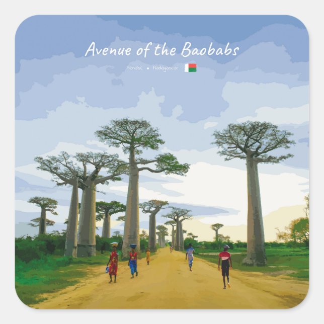 Sticker Carré Allée des Baobabs, Madagascar - Paysage (Devant)