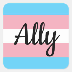 Sticker Carré Allée du drapeau trans