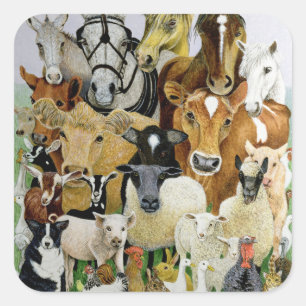 Sticker Carré Allergies animales