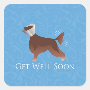 Sticker Carré Allez-Vous Bien Bientôt - Irish Setter Homme