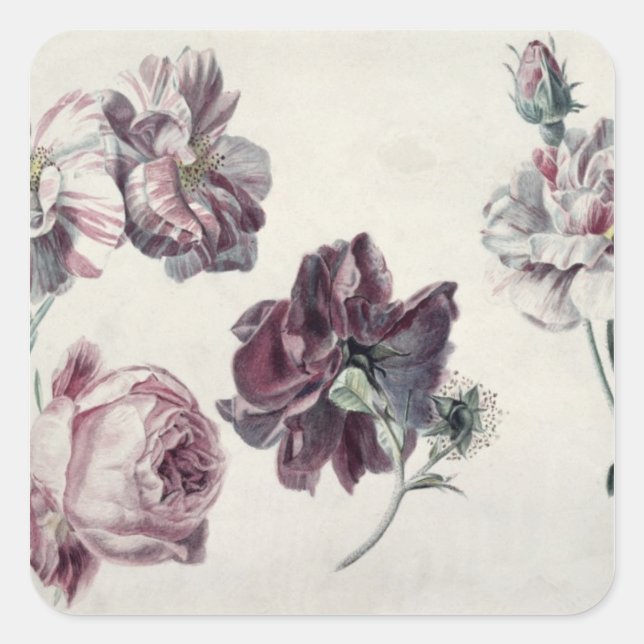 Sticker Carré Alma-Tadema | ROSE (Devant)