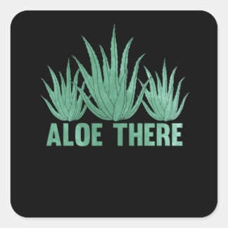 Sticker Carré Aloe Vera Pun Plantes Femmes Hommes Succulents