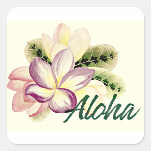 Sticker Carré Aloha Plumeria