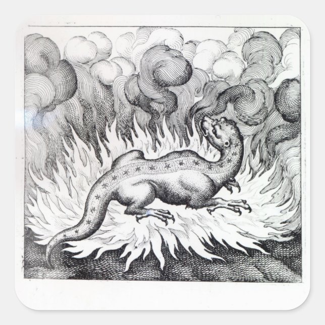 Sticker Carré Alors que la Salamandre vit en feu (Devant)