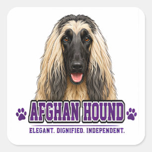 Sticker Carré 🐾 Amateur de Lévrier Afghan 🐾