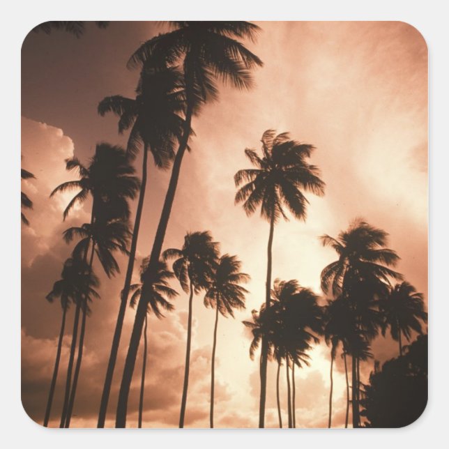 Sticker Carré Ambergris Caye, Belize, Amérique Centrale. 2 (Devant)