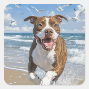 Sticker Carré American Pit Bull Terrier sur la plage