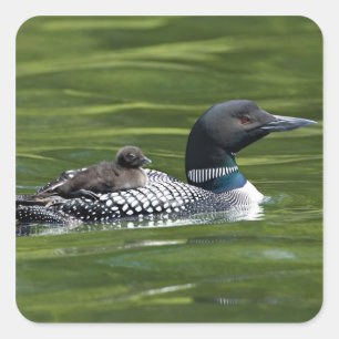 Sticker Carré Amérique du Nord, Canada, Colombie-Britannique, La