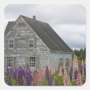 Sticker Carré Amérique du Nord, Canada, Île-du-Prince-Édouard